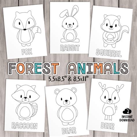 Woodland Animal Coloring Pages