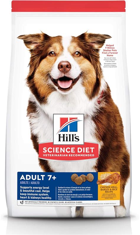 The 10 Best Senior Dog Foods of 2021 – Dog Guide Reviews