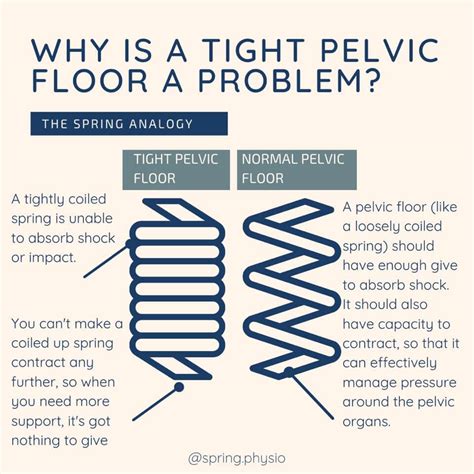 Pelvic Floor Physiotherapist Blog | Women's Health | Pelvic Floor Blog