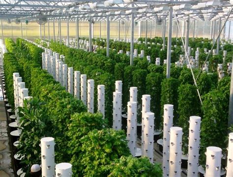 Aeroponic Farm Examples | Aeroponic Farm Samples | Agrotonomy | Agrotonomy