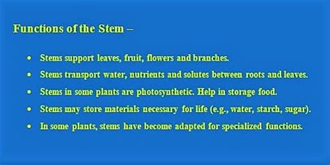 Functions of the Stem - QS Study