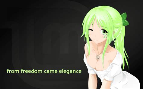 Linux Mint anime wallpaper : r/linuxmint