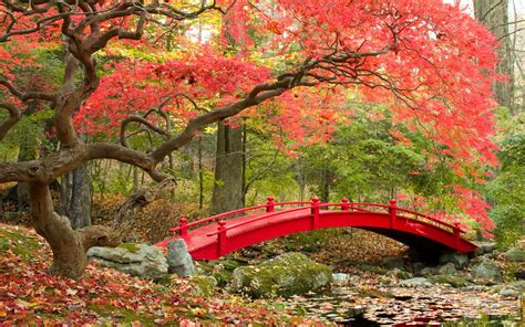 Japan Autumn Wallpapers - Top Free Japan Autumn Backgrounds ...