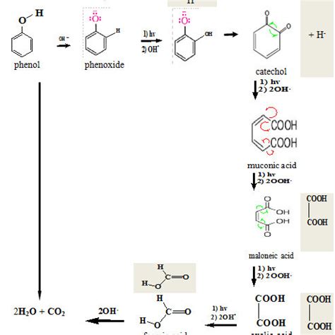 20: Mechanism of Phenol Oxidation by Oxidants (Umar et al., 2008,... | Download Scientific Diagram