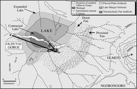 Olduvai Gorge — Emily J. Beverly