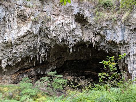 Giants Cave - Caves Rd, Boranup WA 6286, Australia