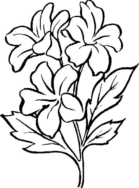 Free Clip Art Flowers Black And White - Cliparts.co