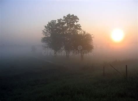 Morning fog. Sunrise on foggy morning in the countryside , #Sponsored, #Sunrise, #fog, #Morning ...