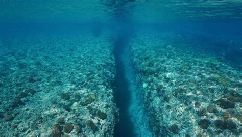 Here’s How Oceanic Trenches Are Formed – Nayturr