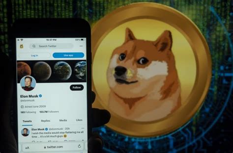 Dogecoin's logo disappeared from Elon Musk's Twitter | Fortune