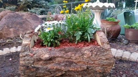 Tree log Planter | Log planter, Planters, Tree logs