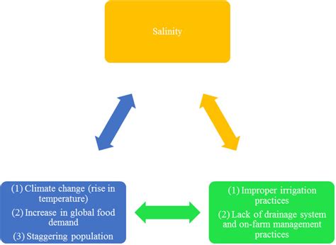 Trilogy of salinization process. | Download Scientific Diagram