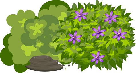 Cartoon Jungle Bushes : Bush Clipart Jungle Clip Shrub Cartoon Illustration Background Cliparts ...