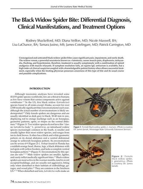 The Itsy Bitsy spider: An Analysis of Spider Locomotion answers