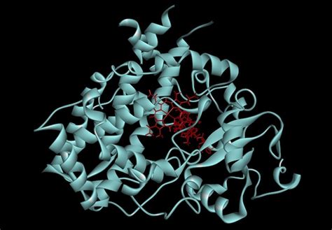 Premium Photo | Cytochrome p450 molecule cyp 3a4 molecular model 3d rendering illustration