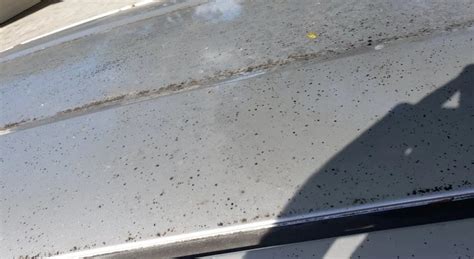 Black Spots on Car Paint – Causes and Easy Ways to Remove!