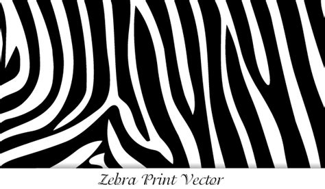 Zebra Print Vector