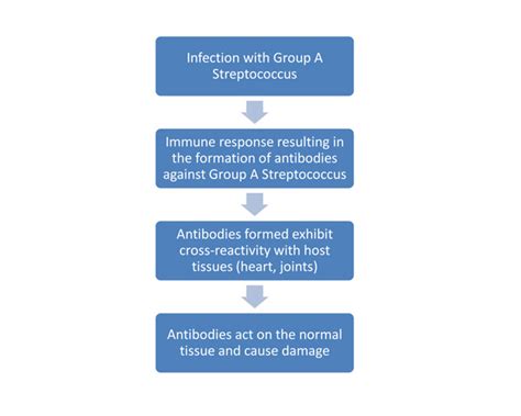 Tonsillitis and Rheumatic Fever - ENT Clinic Sydney