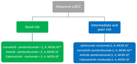 Cancers | Free Full-Text | First-Line Treatment of Metastatic Clear Cell Renal Cell Carcinoma ...