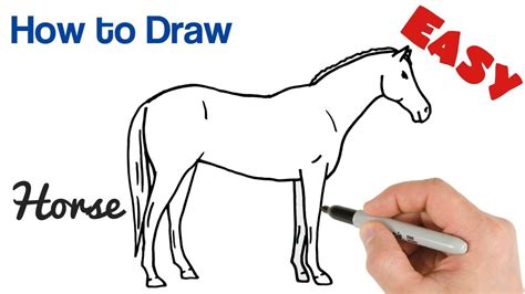 How To Draw A Horse Easy Step By Step at Drawing Tutorials