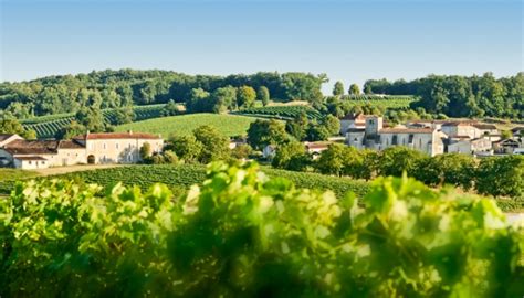 Cognac Wine Region, France | Winetourism