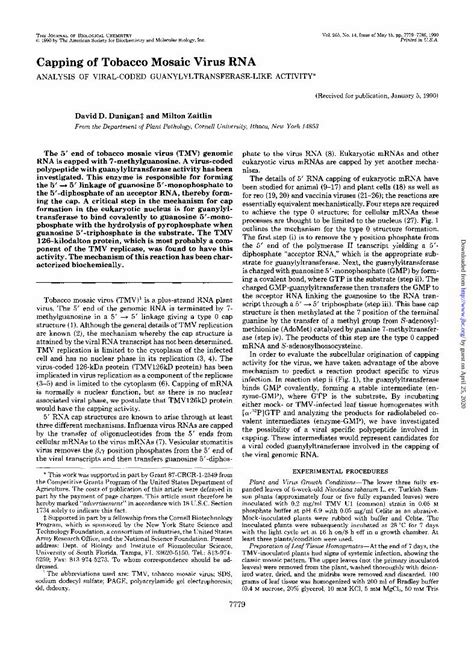 (PDF) Capping of Tobacco Mosaic Virus RNA · Capping of Tobacco Mosaic ...