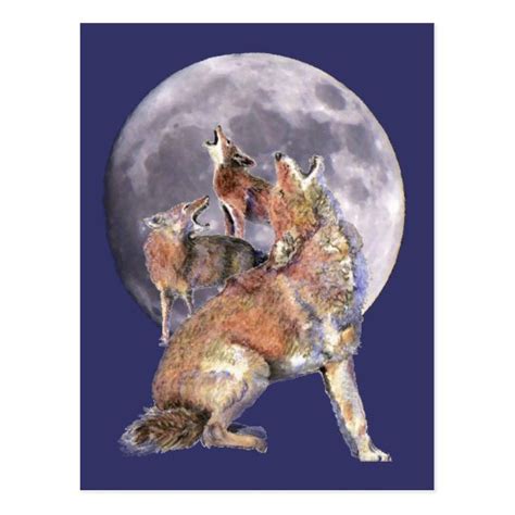 Coyote Pack Howling at the Moon Postcard | Zazzle.com