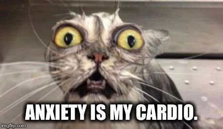 Anxiety Cat Meme Generator