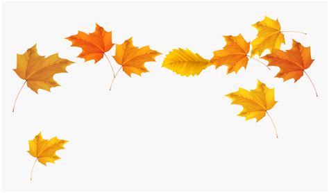 Clip Art Autumn Leaves Background - Falling Leaves No Background, HD ...