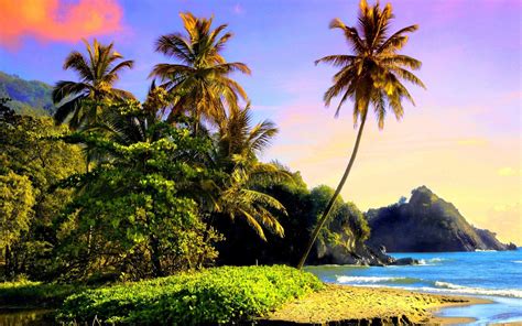 Tropical Beach Landscape Wallpapers - Top Những Hình Ảnh Đẹp