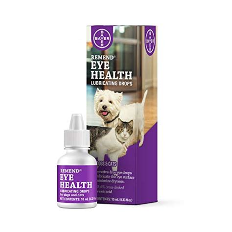 4 Best Dog-Safe Eye Drops & Dog Eye First-Aid Tips