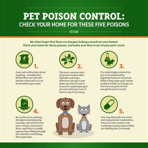 Pet Poison Prevention Infographic | Pet poison, Pet poison prevention, Poison prevention