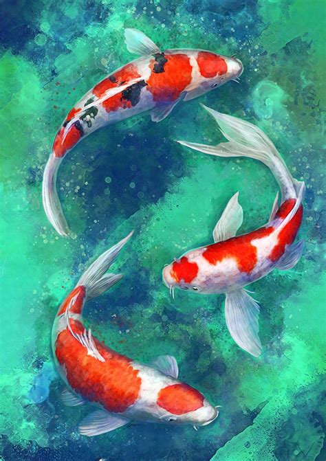 Related image | Koi art, Koi painting, Koi fish drawing