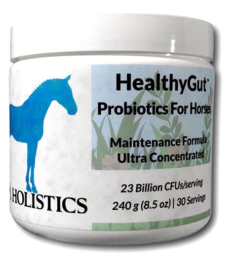 Best Probiotics For Horses - Best Horse Gears