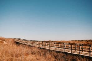 Photo Journal: Ambling around Alvor boardwalks and lagoons « | GKM