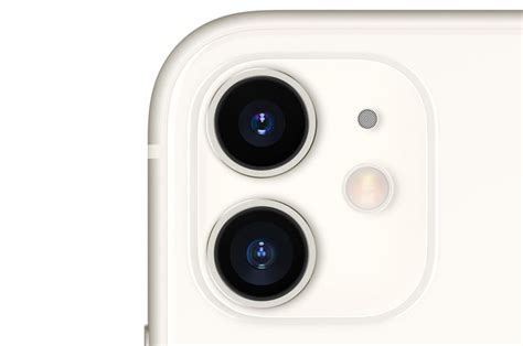 Dream Job: iPhone 11 camera review | WhistleOut