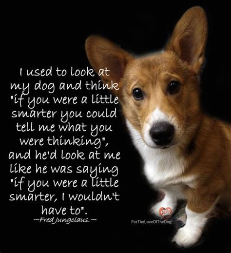 Dogs In Heaven Quotes. QuotesGram