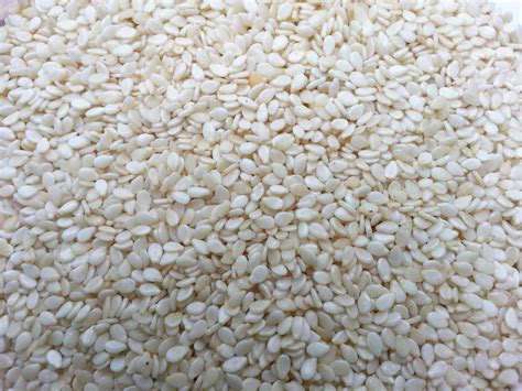 Sesame Seeds Free Stock Photo - Public Domain Pictures