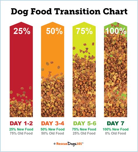 Dog Food Transition: A Quick Guide for Healthy Switches