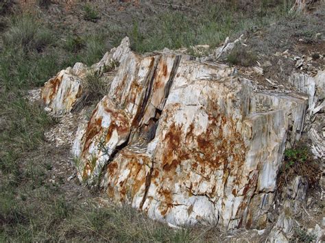 Florissant Fossil Beds National Monument Map - South Central Colorado ...