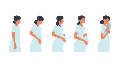 Stages of Pregnancy Concept Stock Vector - Illustration of flat, design ...