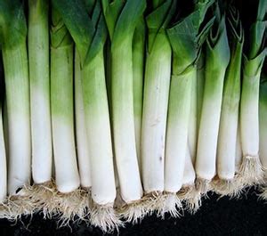 Top 8 Leeks Nutrition Facts And Health Benefits