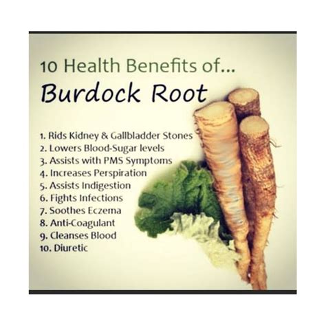 Herbsconnect Burdock Root Powder - 100g | Jumia Nigeria