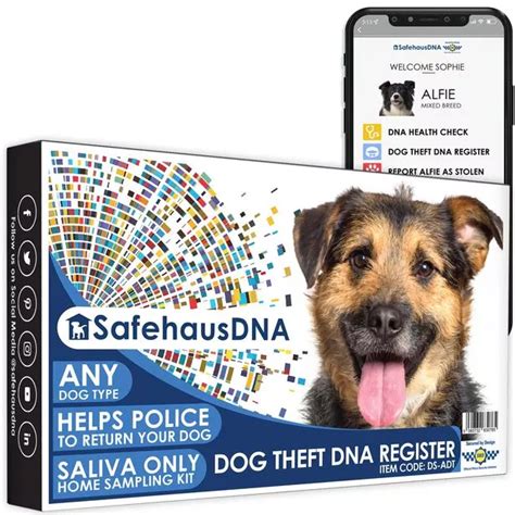 Owners encouraged to record their dog's DNA on private database to guard against pet theft ...