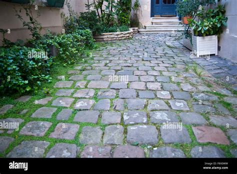 Photograph of a cobblestone courtyard garden in Paris Stock Photo - Alamy