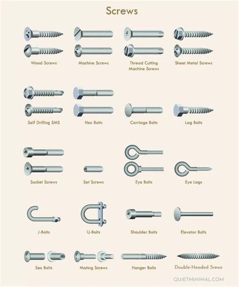 Nail Every DIY: Screw Types & Their Best Uses - Quiet Minimal