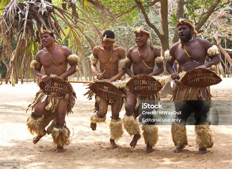 Zulu Traditional Dancing Zululand South Africa Stock Photo - Download Image Now - African ...