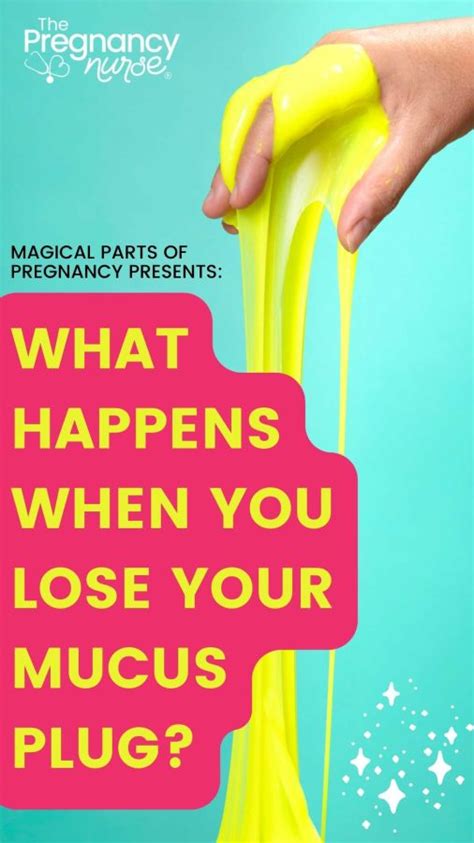 How Dilated Are You When You Lose Your Mucus Plug? - The Pregnancy Nurse