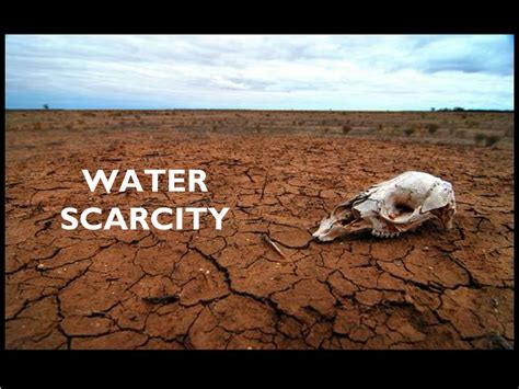 PPT - WATER SCARCITY PowerPoint Presentation, free download - ID:9246957