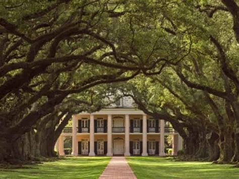 10 Best Plantations in New Orleans for History Tours